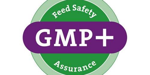 GMP GMP