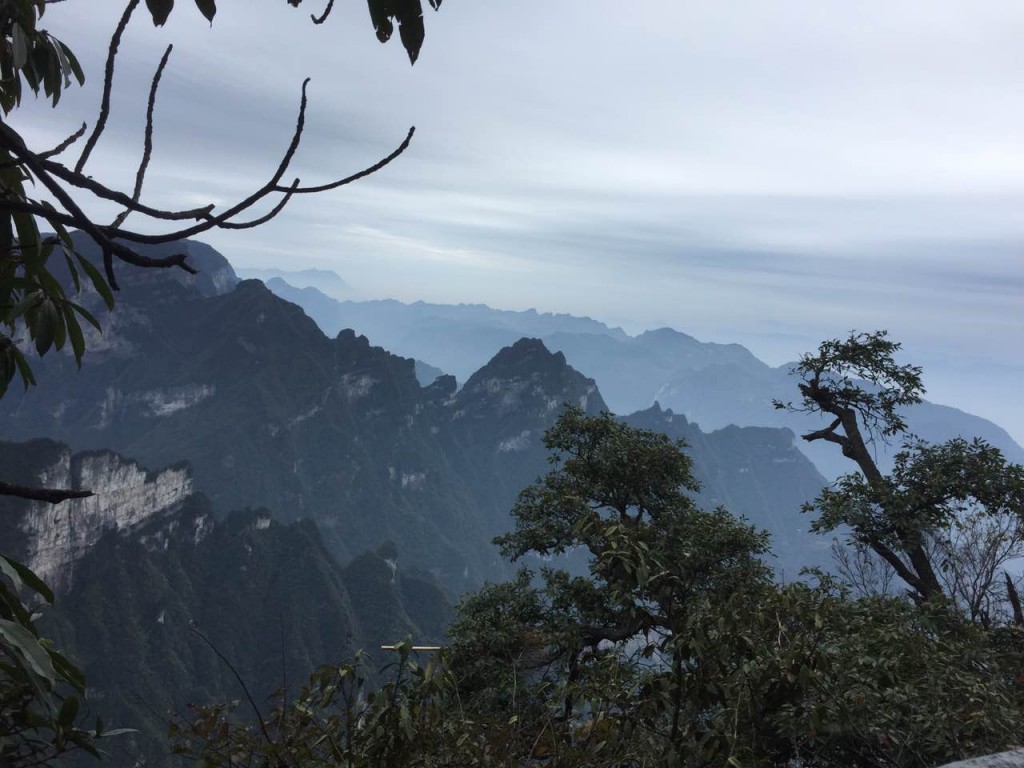 意凱優(yōu)秀員工-魅力張家界之行！